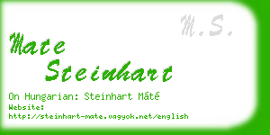 mate steinhart business card